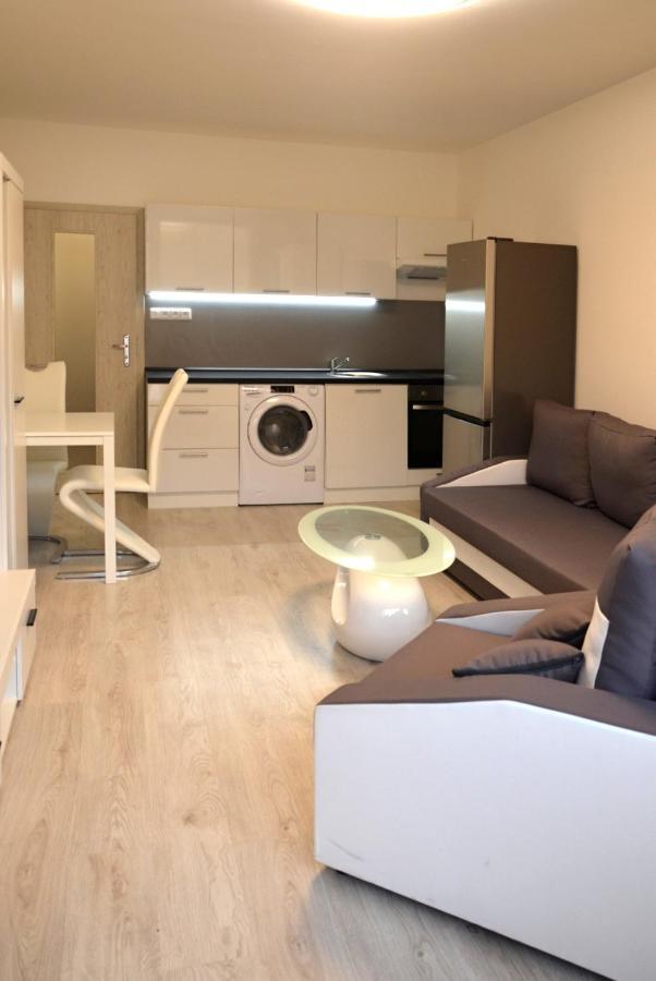 Utulny Apartman V Centru, S Krasnym Vyhledem Decin Eksteriør bilde