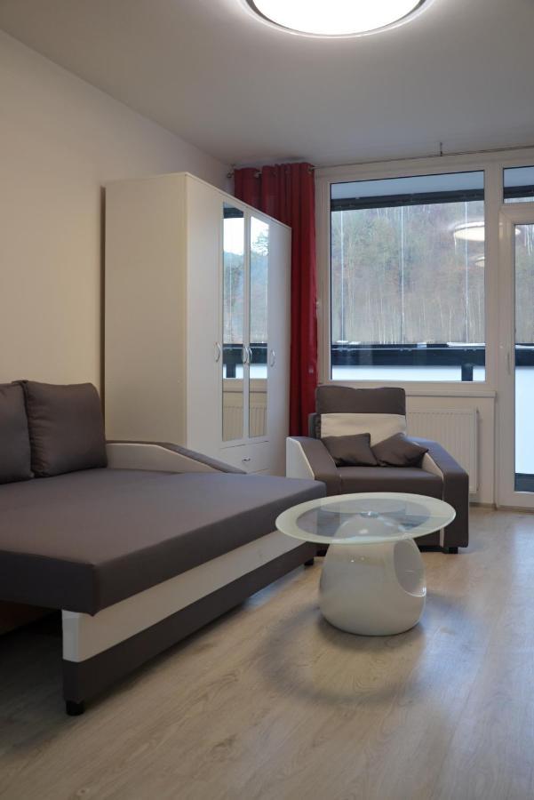 Utulny Apartman V Centru, S Krasnym Vyhledem Decin Eksteriør bilde