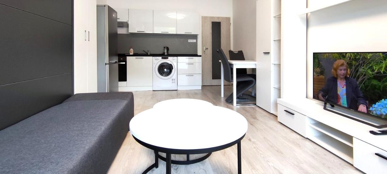 Utulny Apartman V Centru, S Krasnym Vyhledem Decin Eksteriør bilde