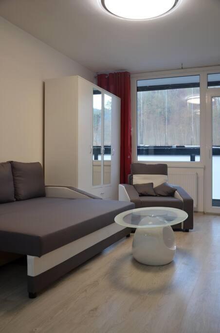 Utulny Apartman V Centru, S Krasnym Vyhledem Decin Eksteriør bilde