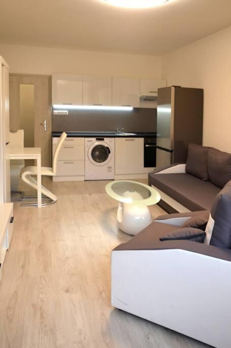 Utulny Apartman V Centru, S Krasnym Vyhledem Decin Eksteriør bilde