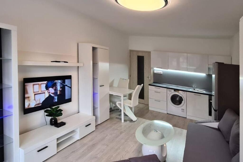 Utulny Apartman V Centru, S Krasnym Vyhledem Decin Eksteriør bilde